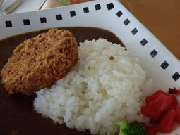 画像:高座豚カレー